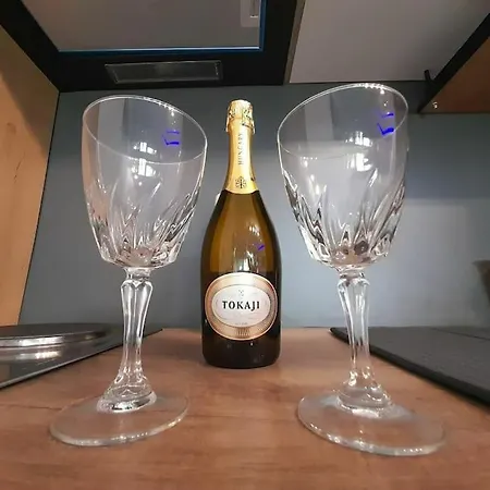 アパート Paku 3 New ベオグラード